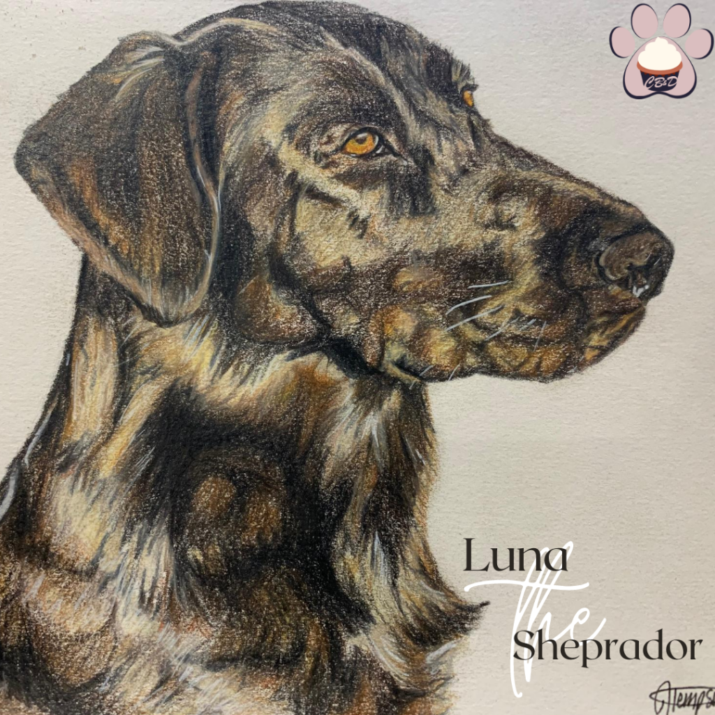 Luna the Sheprador