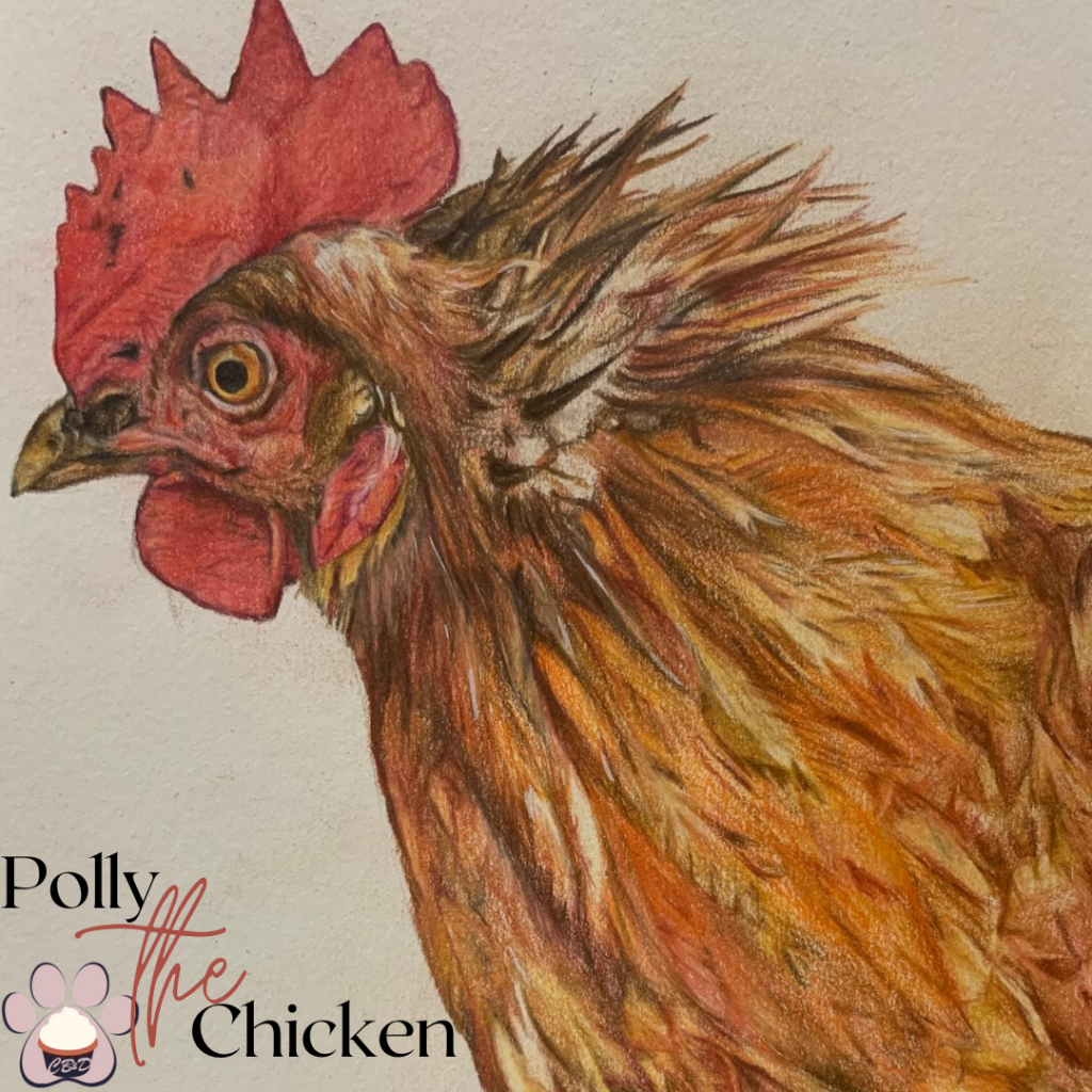 Polly the Chicken