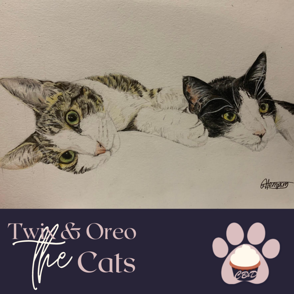 Twix & Oreo the Cats
