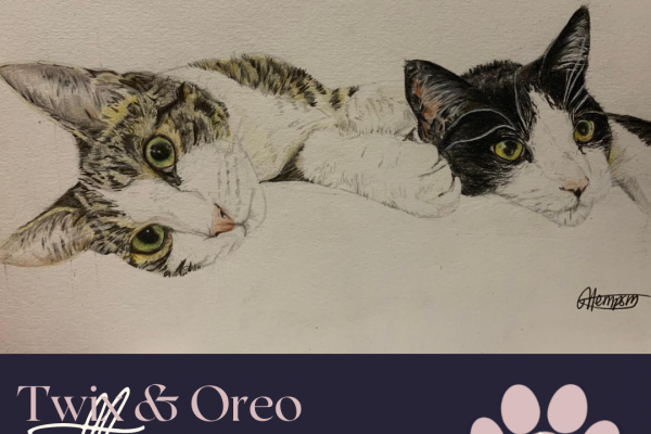 Twix & Oreo the Cats