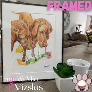 vizslas frames