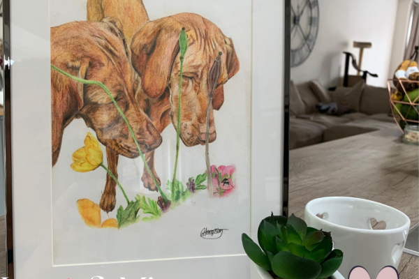 Luna & Mia the Vizslas