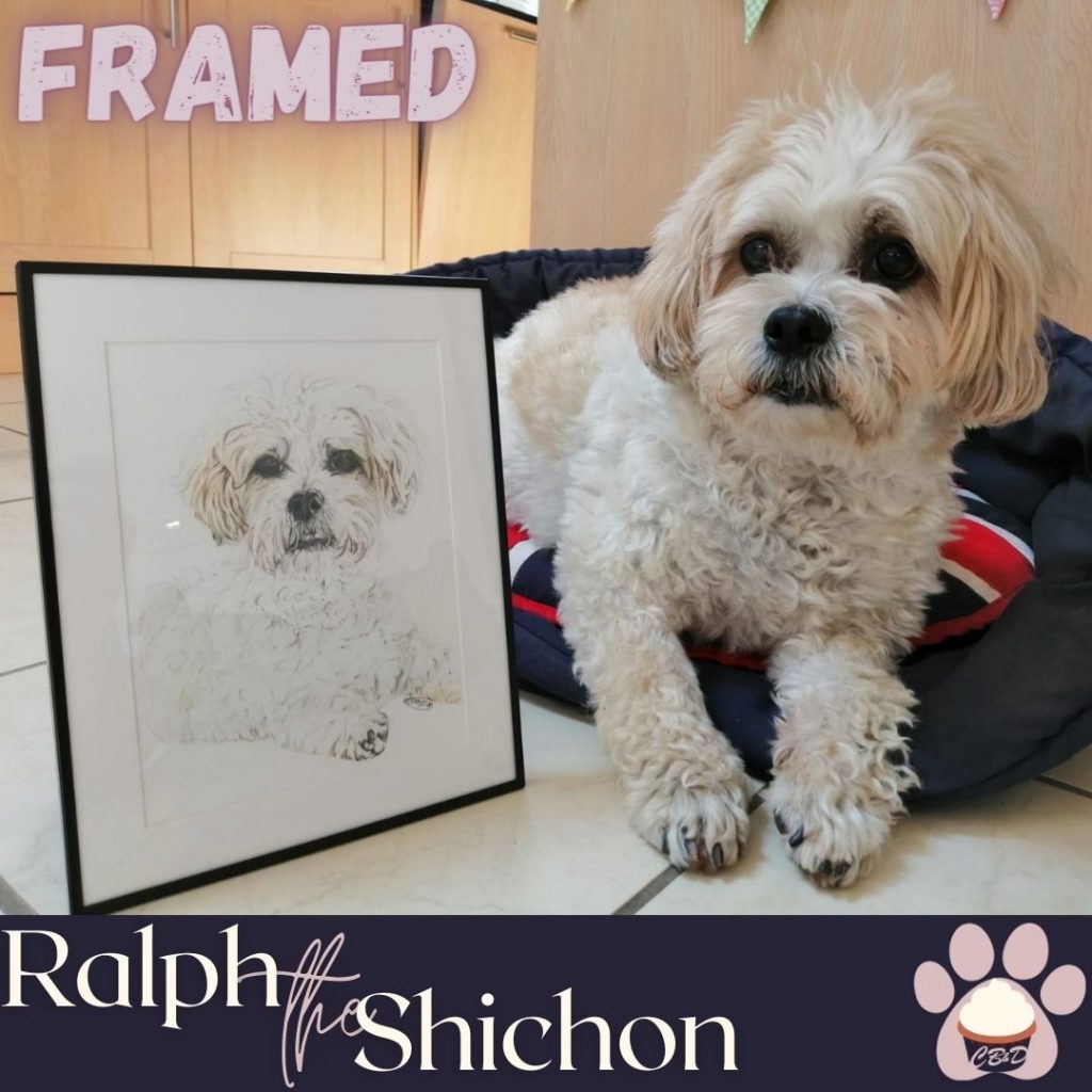Ralph the Shichon